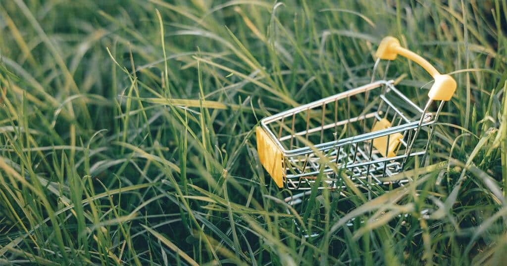 Trends Powering the Shift in Sustainable Retail RLC Global Forum