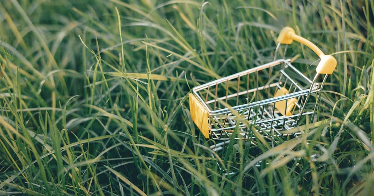 Trends Powering the Shift in Sustainable Retail RLC Global Forum