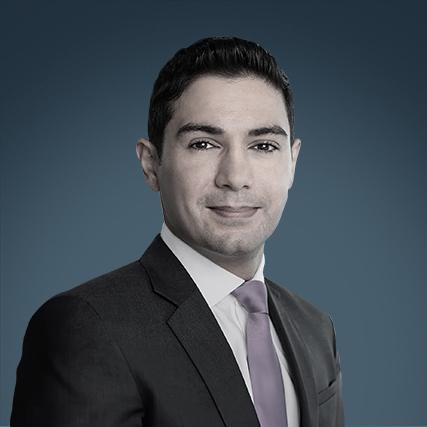 Yousef Gamal El-Din